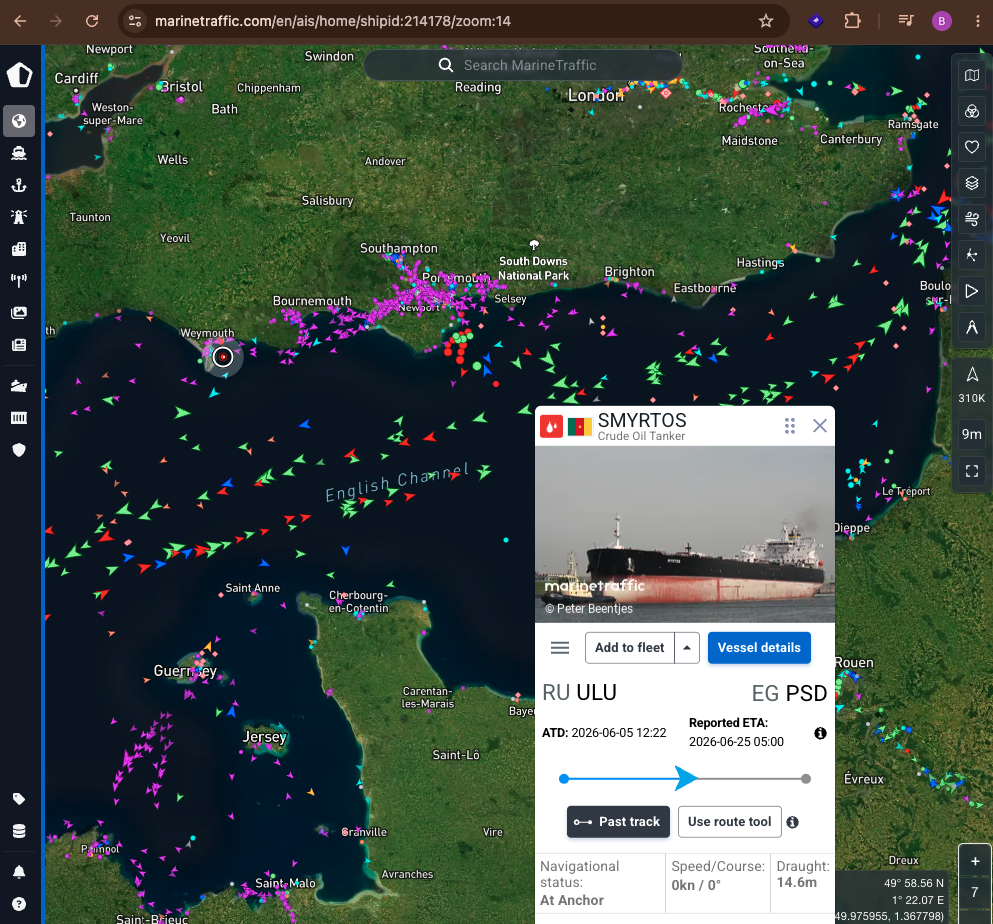 MarineTraffic global fleet map layout